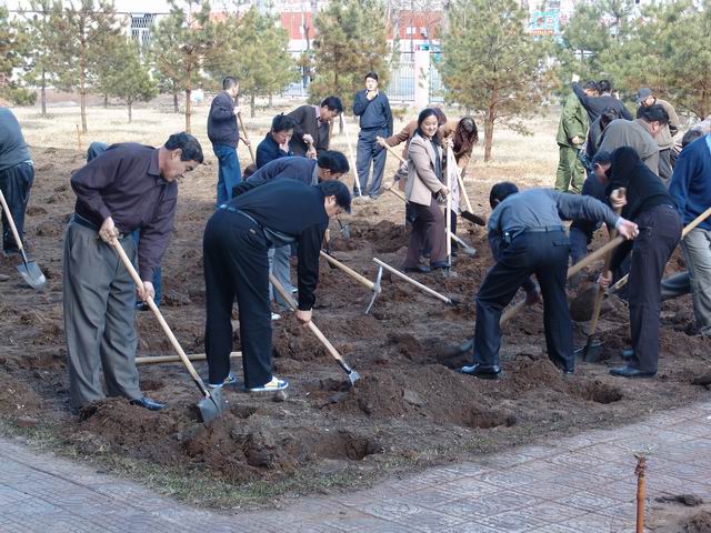按此在新窗口瀏覽圖片